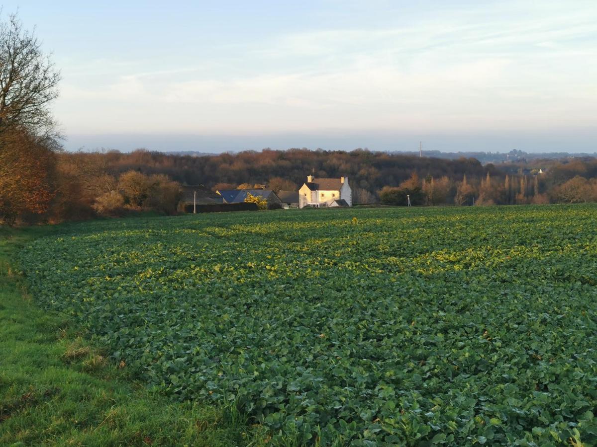 Les De L'hermine Ferienhaus Plouigneau